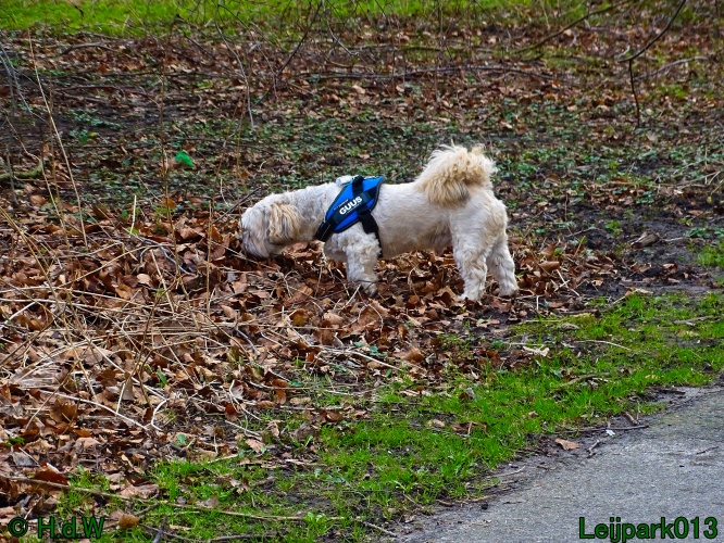 Beestenboel 27 februari 2024