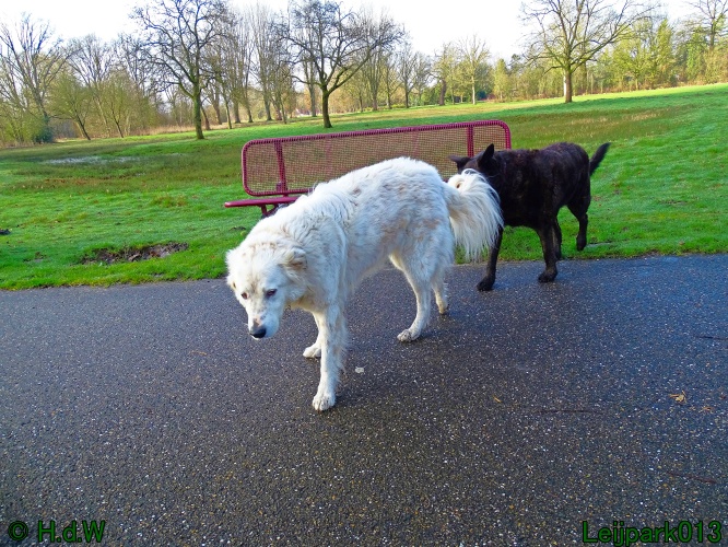 Beestenboel 27 februari 2024