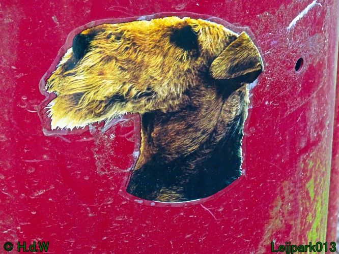 Beestenboel 27 februari 2024