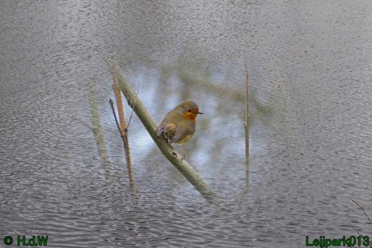 26 &amp; 27 &amp; 28 &amp; 29 februari 2024