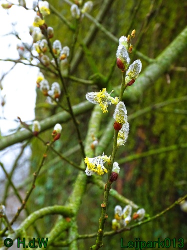 26 &amp; 27 &amp; 28 &amp; 29 februari 2024