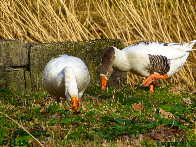 26 &amp; 27 &amp; 28 &amp; 29 februari 2024