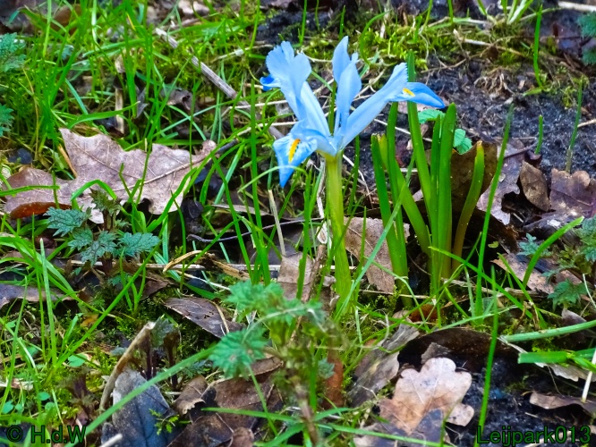 26 &amp; 27 &amp; 28 &amp; 29 februari 2024