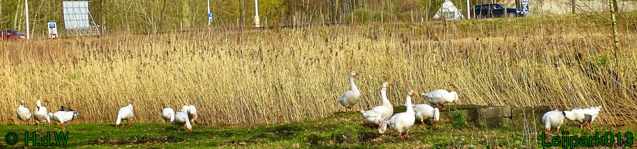 26 &amp; 27 &amp; 28 &amp; 29 februari 2024