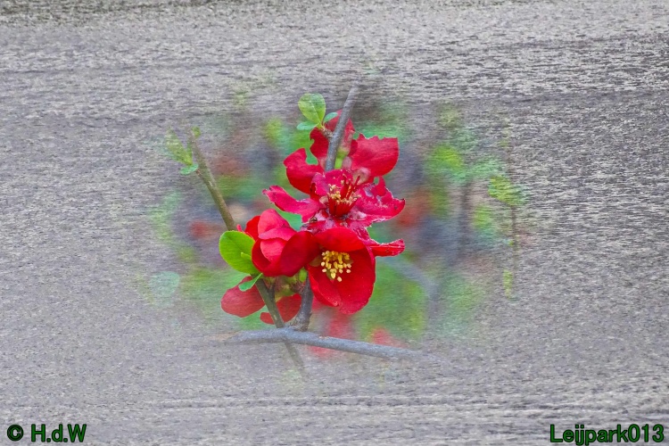 26 &amp; 27 &amp; 28 &amp; 29 februari 2024