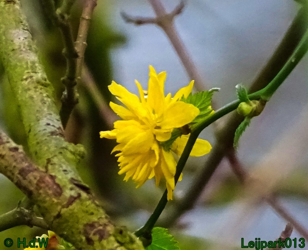 26 &amp; 27 &amp; 28 &amp; 29 februari 2024