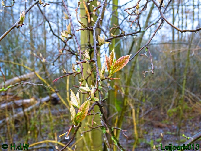 26 &amp; 27 &amp; 28 &amp; 29 februari 2024