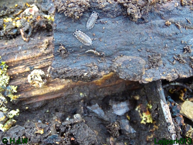 26 &amp; 27 &amp; 28 &amp; 29 februari 2024