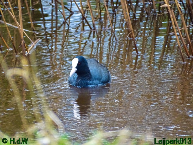 26 &amp; 27 &amp; 28 &amp; 29 februari 2024