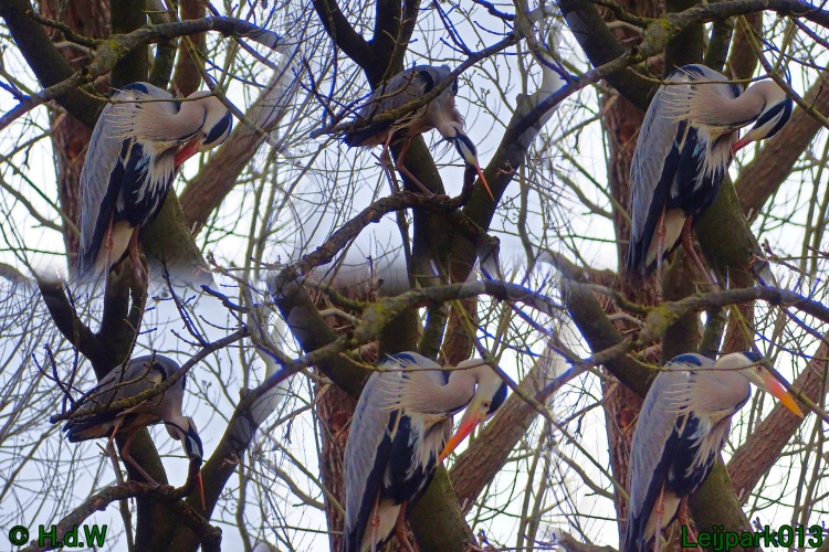 26 &amp; 27 &amp; 28 &amp; 29 februari 2024