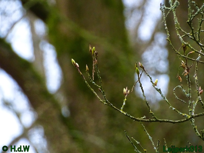 26 &amp; 27 &amp; 28 &amp; 29 februari 2024