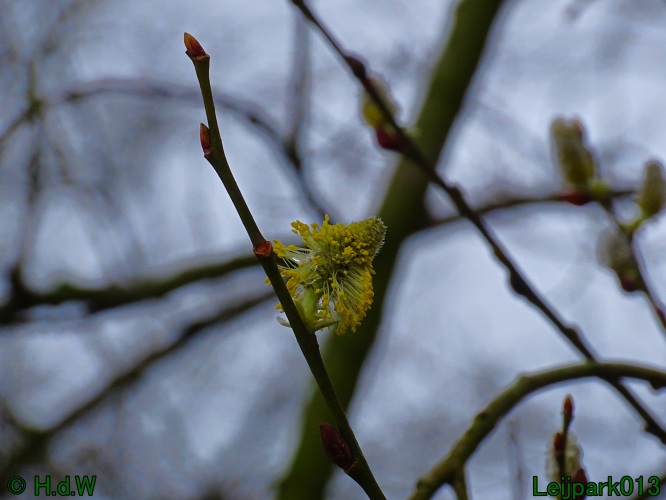 26 &amp; 27 &amp; 28 &amp; 29 februari 2024