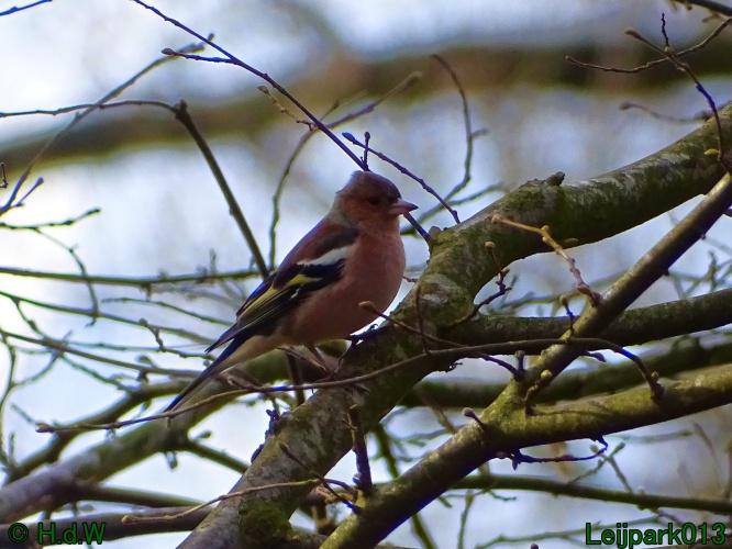 26 &amp; 27 &amp; 28 &amp; 29 februari 2024