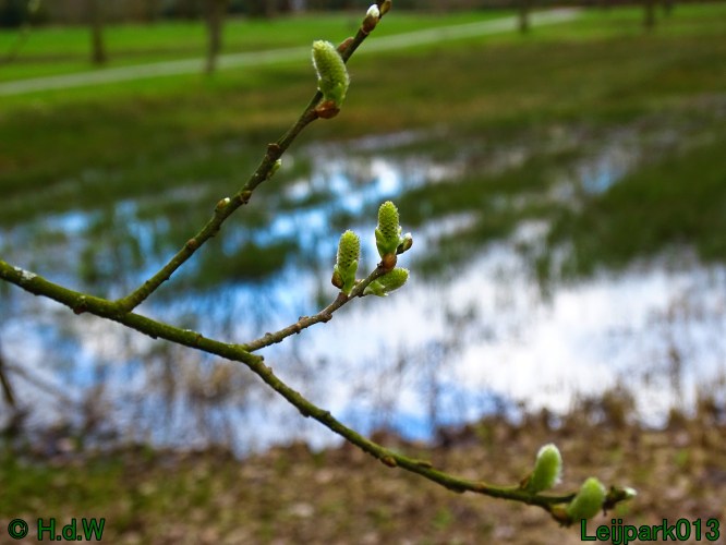 26 &amp; 27 &amp; 28 &amp; 29 februari 2024