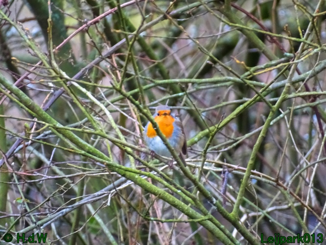 26 &amp; 27 &amp; 28 &amp; 29 februari 2024