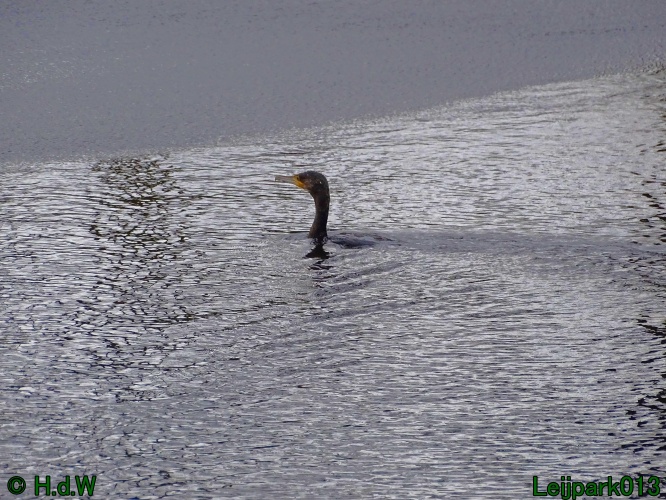 26 &amp; 27 &amp; 28 &amp; 29 februari 2024