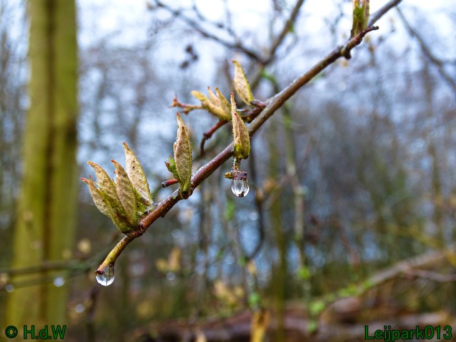 26 &amp; 27 &amp; 28 &amp; 29 februari 2024