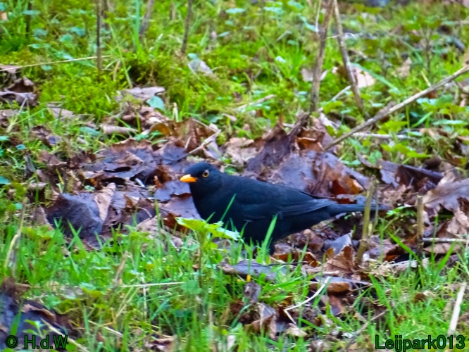 26 &amp; 27 &amp; 28 &amp; 29 februari 2024