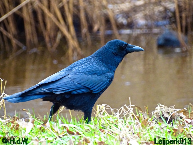 26 &amp; 27 &amp; 28 &amp; 29 februari 2024