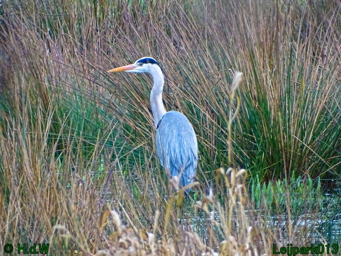 26 &amp; 27 &amp; 28 &amp; 29 februari 2024