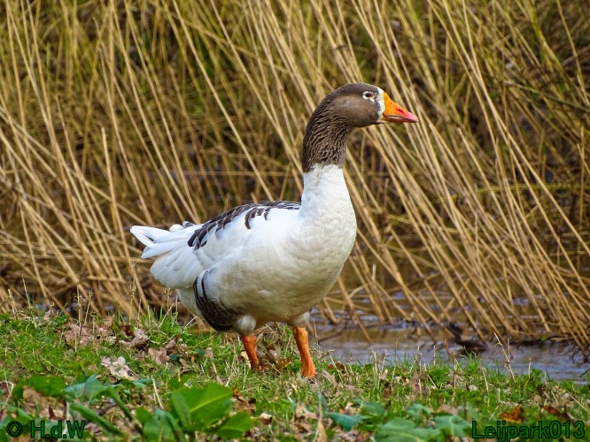 26 &amp; 27 &amp; 28 &amp; 29 februari 2024