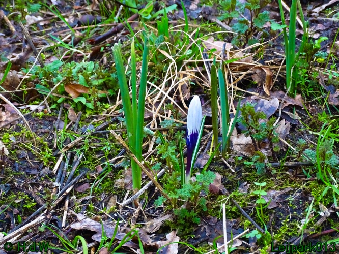 26 &amp; 27 &amp; 28 &amp; 29 februari 2024