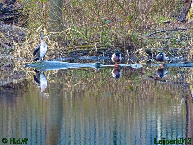 26 &amp; 27 &amp; 28 &amp; 29 februari 2024