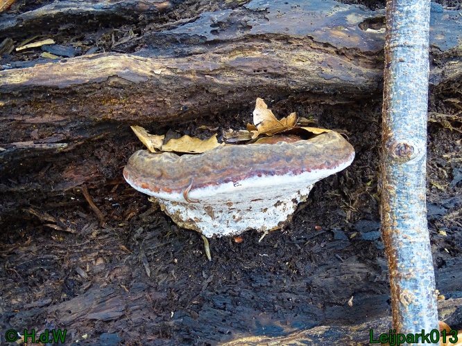 26 &amp; 27 &amp; 28 &amp; 29 februari 2024