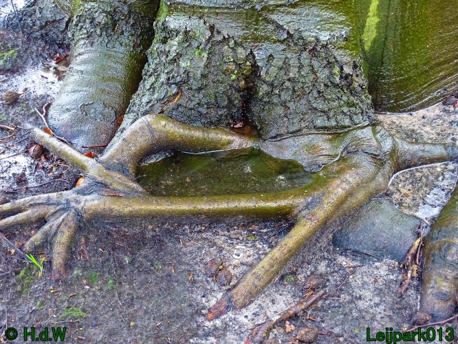 26 &amp; 27 &amp; 28 &amp; 29 februari 2024