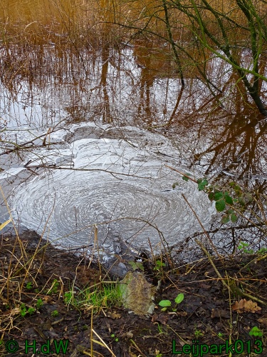 26 &amp; 27 &amp; 28 &amp; 29 februari 2024