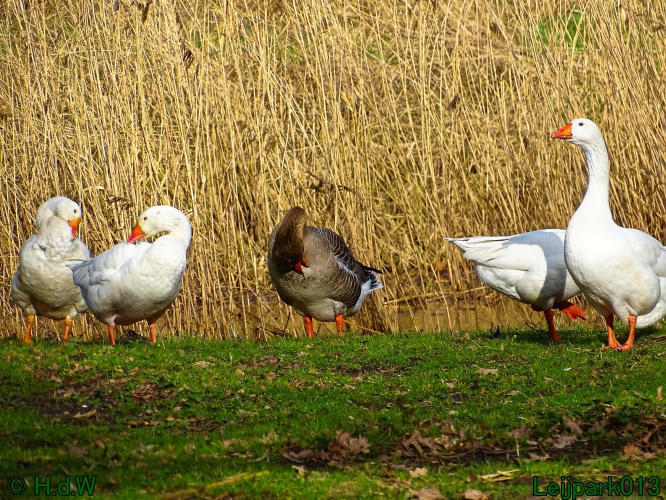 26 &amp; 27 &amp; 28 &amp; 29 februari 2024