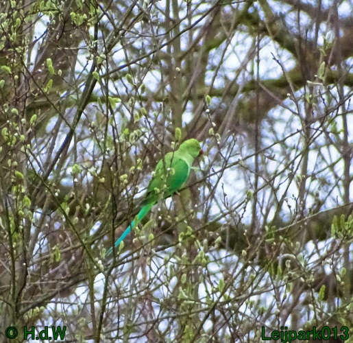 1 &amp; 2 &amp; 3 &amp; 4 maart 2024