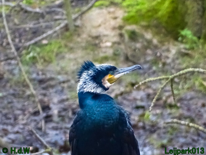 1 &amp; 2 &amp; 3 &amp; 4 maart 2024