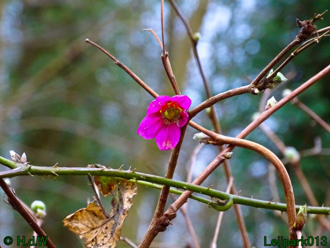 1 &amp; 2 &amp; 3 &amp; 4 maart 2024