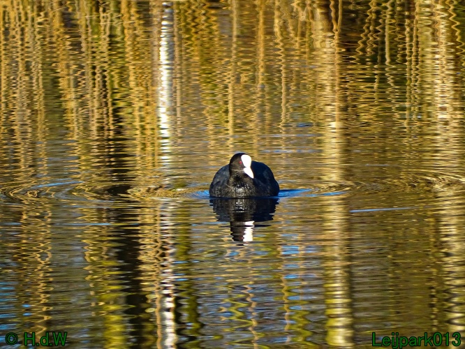 1 &amp; 2 &amp; 3 &amp; 4 maart 2024