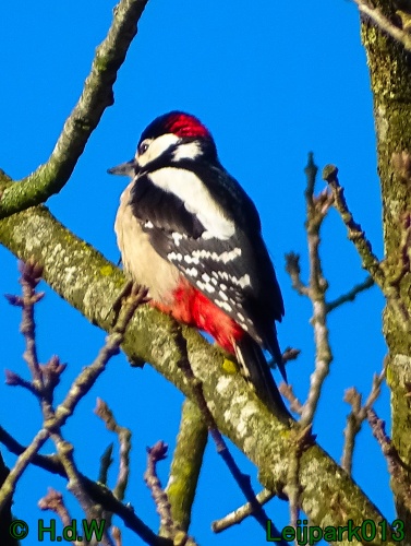 1 &amp; 2 &amp; 3 &amp; 4 maart 2024