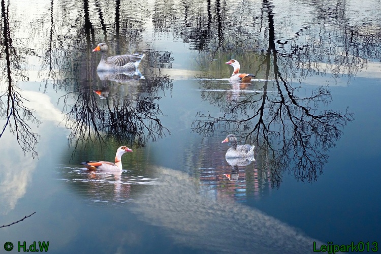 1 &amp; 2 &amp; 3 &amp; 4 maart 2024