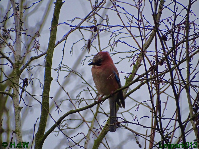 1 &amp; 2 &amp; 3 &amp; 4 maart 2024