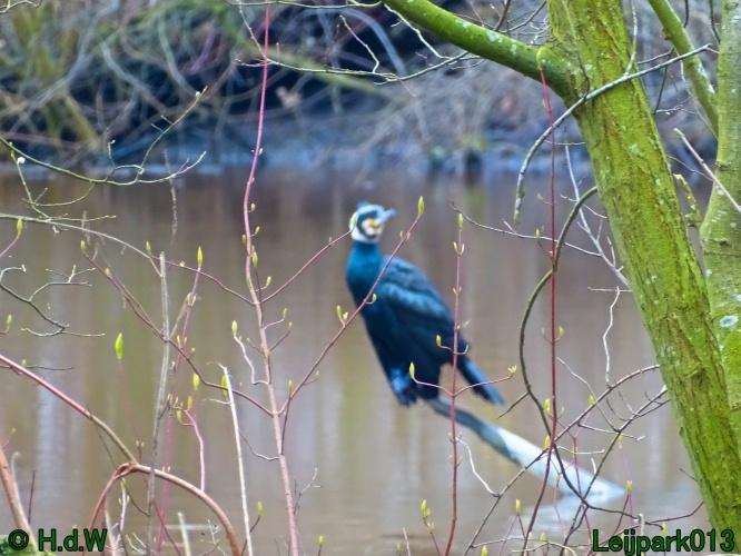 1 &amp; 2 &amp; 3 &amp; 4 maart 2024