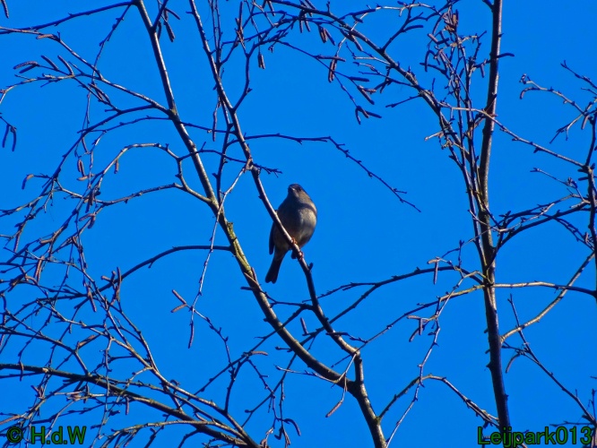 1 &amp; 2 &amp; 3 &amp; 4 maart 2024