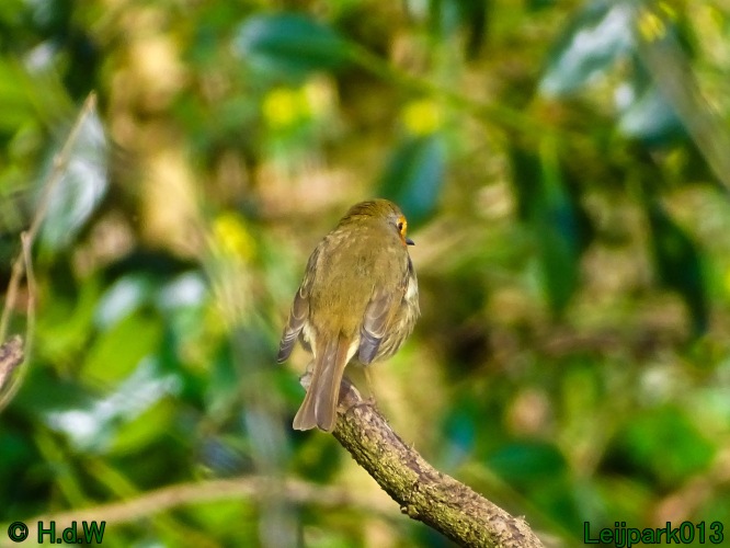 1 &amp; 2 &amp; 3 &amp; 4 maart 2024