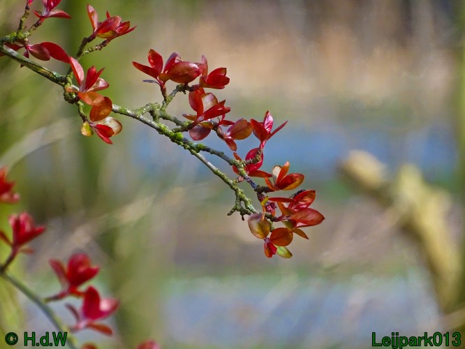 1 &amp; 2 &amp; 3 &amp; 4 maart 2024