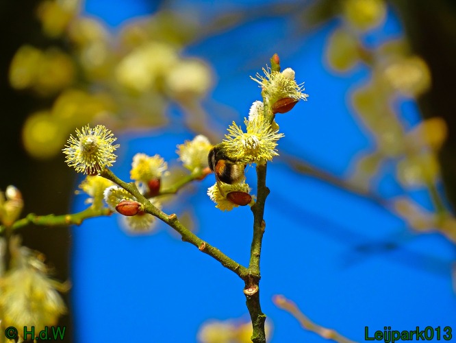 1 &amp; 2 &amp; 3 &amp; 4 maart 2024