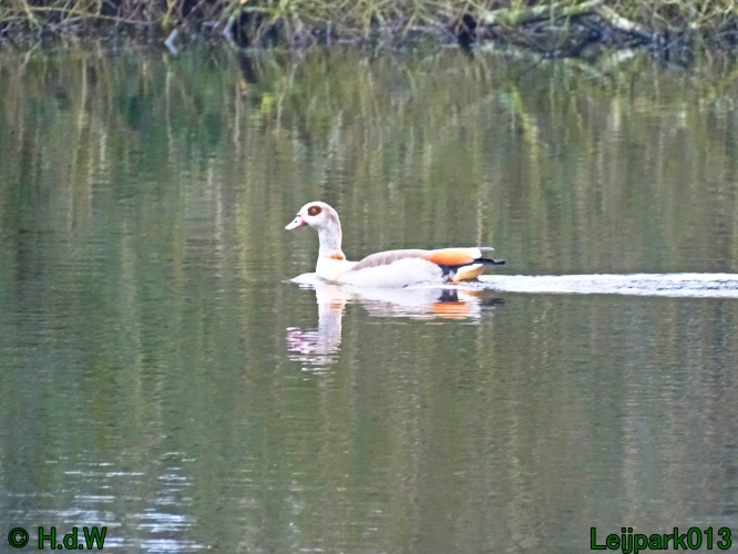 1 &amp; 2 &amp; 3 &amp; 4 maart 2024