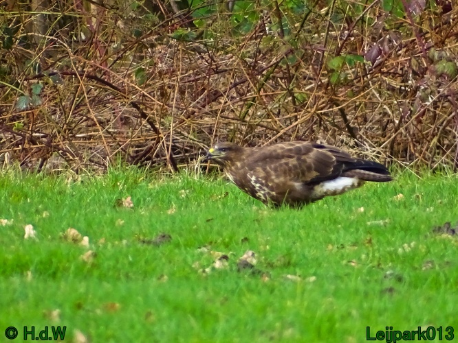 1 &amp; 2 &amp; 3 &amp; 4 maart 2024