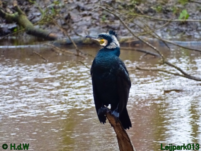 1 &amp; 2 &amp; 3 &amp; 4 maart 2024