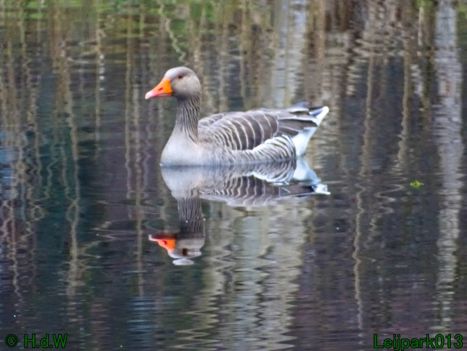 1 &amp; 2 &amp; 3 &amp; 4 maart 2024