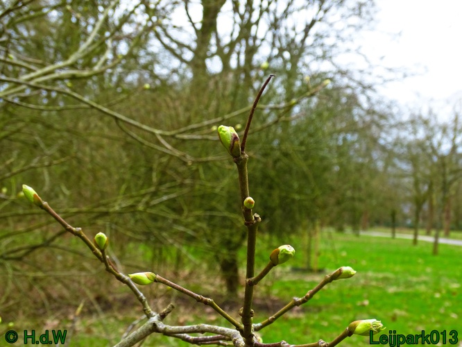 1 &amp; 2 &amp; 3 &amp; 4 maart 2024