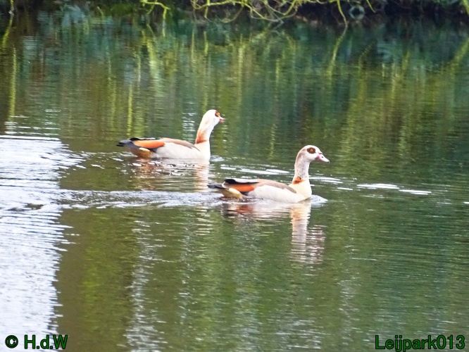 1 &amp; 2 &amp; 3 &amp; 4 maart 2024