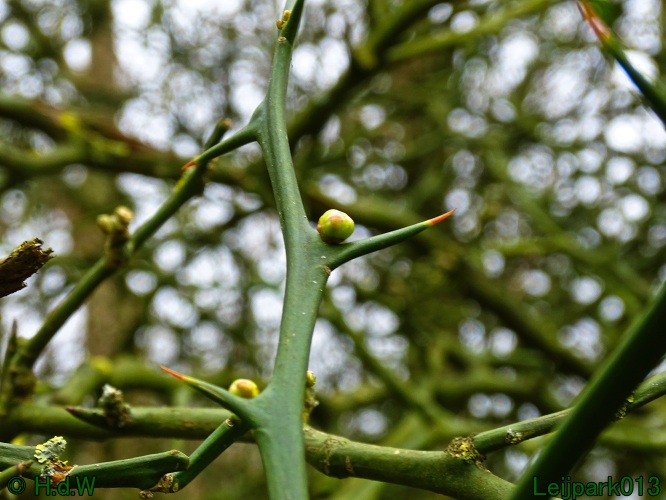 1 &amp; 2 &amp; 3 &amp; 4 maart 2024